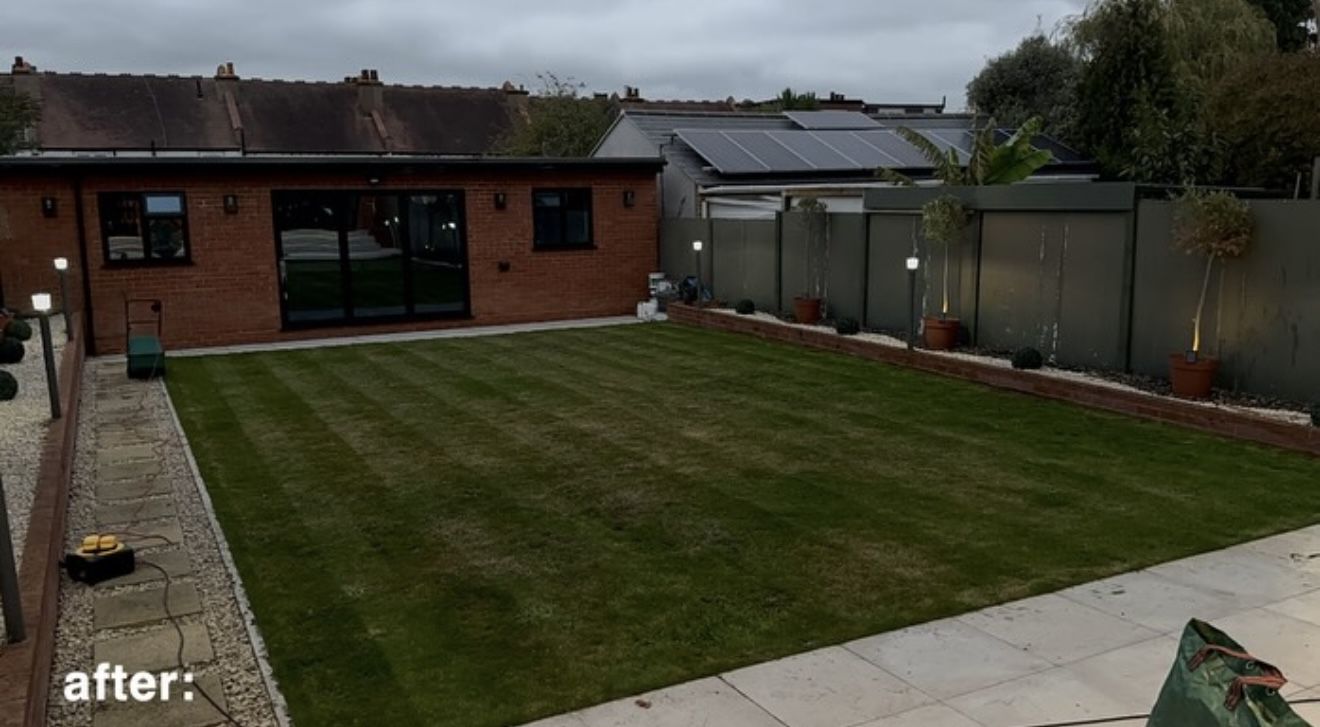 Landscaped garden lawn in the evening