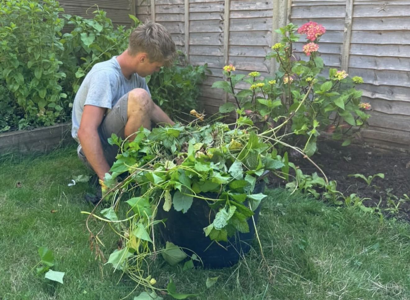 Clearing cuttings from a border